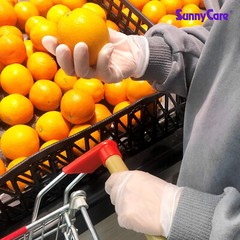 SunnyCare #7803 Vinyl Disposable Gloves Powder Free (Latex Nitrile Free) Large