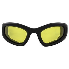 Birdz Eyewear Soar 24 Photochromic Safety Motorcycle Goggles for Men or Women