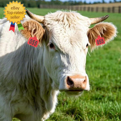 Cattle Ear Tags 001-100 Number Plastic Livestock Animal Tag for Cows Ear Tag