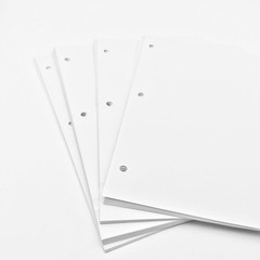 Loose Leaf Paper,(8.5″ x 11″) – 3-Hole Punched Letter, Filler Paper,Multi-Use Pr