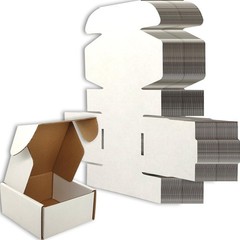100 Pack 4x4x2 Inch White Corrugated Cardboard Small Shipping Mailer Box