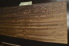 Fumed Eucalyptus Raw Wood Veneer Sheet 12.5 x 31 inches 8628-10