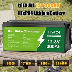 12V 300AH LiFePO4 Lithium Battery 3840Wh Deep Cycle BMS for Solar RV Off-grid