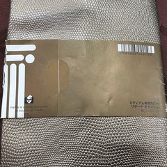 Etrange di Costa Rica B6 Lizard Leather Book Cover Anime Collectible New