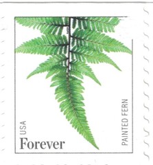 United States Postal Service Usps Ferns – 25