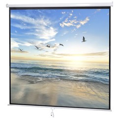 120” Projector Screen Diagonal TV Screen Manual Matte HD Movie Theater 1:1