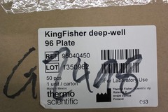 1 CASE OF 50 NEW THERMO KINGFISHER 96 DEEP WELL PLATE V BOTTOM 95040450