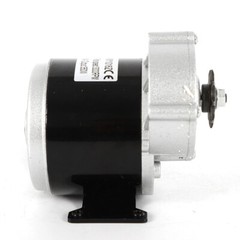 350w 24v 2 Poles Brushed Motor Electric Vehicle Geared Motor Decelerate Motor