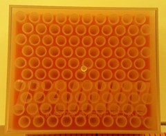 Rainin Clean-Pak RT-20 Disposable Microliter Pipette Tips in Protective Racks
