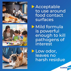 Anywhere Daily Disinfectant and Sanitizer, No-Rinse Food Contact Sanitizer, Refi