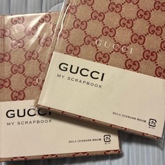 2 notebooks Novelty Notebook NEW Journal GUCCI authentic