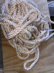 Life Line 100 Ft Polyester’s