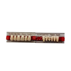 Acrylic Synthetic Resin Denture Teeth Vita Color Shade A2/A3 Upper Lower -84Pcs