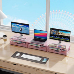 Pink 15.7 In. X 5.5 In. Metal Modern Desk Organizer Stand with Drawer