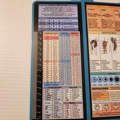 Nursing Clipboard Foldable Nursing Edition Cheat Charts Teal