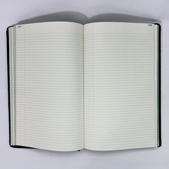 Vintage National Blank Book Company Record Account Ledger Book 300 Pages
