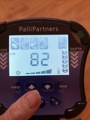 PalliPartners Metal Detector for Adults Waterproof-Professional Higher