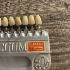 2 VITALUMIN SHADE GUIDE DENTAL DENTURE & CROWNS POPULAR COMPLETE VITA, GERMANY