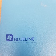 Blueline Vintage Ledger Book Hardcover Unused 200 Pages Three Column A790