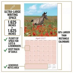 Arabian Horses Calendar 2024 FULL SIZE 12×24 Made in USA