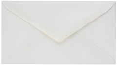 Meadwestvaco 100PK White Security Envelopes 6-3/4″ – Everyday Mailing Essentials