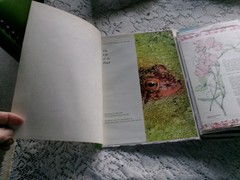 JUNK JOURNAL SIZE 7″ X 10″ APPROX. 120 PAGES