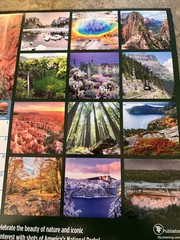 2025 National Parks Wall 12×12 Calendar