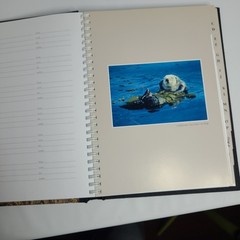 New: Images of Nature Address Book, Featuring Photos by Thomas Mangelsen