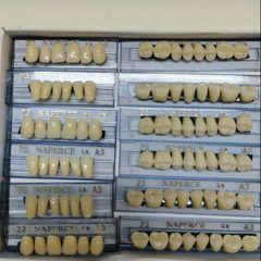 168pc Acrylic Resin Denture Full Set Teeth Upper Lower Shade Tooth Dental 23# A3