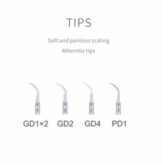 DTE Dental Ultrasonic Piezo Scaler Tips 2x GD1, GD2 GD4 PD1 Assorted Kit