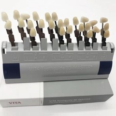 VITA Dental Toothguide 3D Master Resin 29 Colors With Bleached Shade Guide