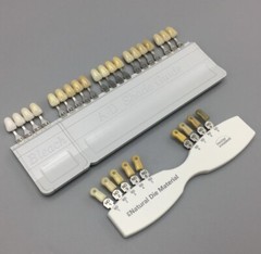 Ivoclar Vivadent Dental Teeth Bleaching Shade Guide ND 9 A-D 20 IPS Natural Die