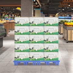 Blue Pp Pallet 50*30*10cm Pallet Free Standing Anti-slip particle Floor Pallet