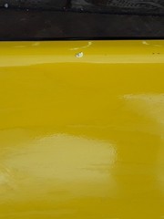 Creative Composites 4-5TP Vented Hood Yale Gold (No Liner)(Hood 4) PN:550015662