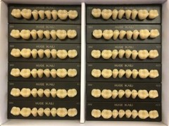 HUGE KAILI Synthetic Polymer False Teeth Lower Posterior SZ36M Full Box 12sheets