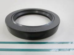 NEW LP100-H2048 For: LPM Total Source Oil Seal 0810