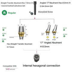 US DIO UFII Regular Impression Coping Transfer Straight Locator Healing Abutment