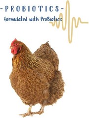 Chicken Grit with Probiotics – Crushed Granite Grit for Backyard Chickens, Su…