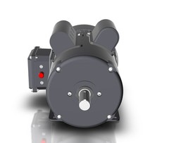Techtop Electric Motor 2 HP 1800 Rpm 1-PH 115/208-230 Volt 145T Frame