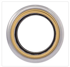 SharkBite MAX UR020A, 1-in. Push-to-Connect Straight Brass Coupling