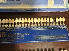 Dentsply Trubyte Bioform Color Ordered Tooth Dental Shade Guide Lot