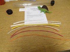 NEW Windy City Wire 76976 76136 76232 Custom Cable Samples *FREE SHIPPING*