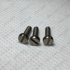 Titanium Slotted Cheese Head Screws DIN84 M1 M1.2 M1.4 M1.6 M2 M2.5 M3 M4 M5 M6