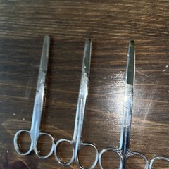 Deroyal Scissors Sharp/Blunt (Pakistan) Set Of 5