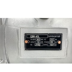 Air-Operated Diaphragm Pump Double Diaphragm Pump 1-1/2 inch Inlet&Outlet 44GPM