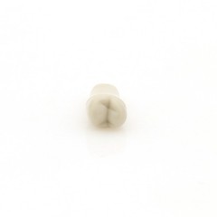 US 32Pcs Dental Individual Replacement Teeth Fits Columbia 860 Typodont Model