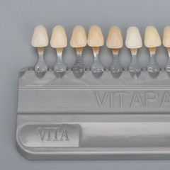VITA Classical Shade Guide A1-D4 16 Colours VITAPAN Colorimetric Plate