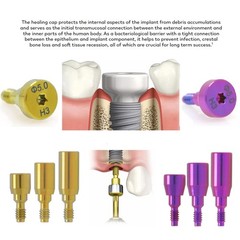 US Nobel Biocare Titanium Healing Abutment NP RP Internal Conical ∅3.6/5.0/6.0mm