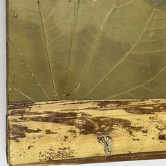 Handmade Costa Rica Journal Large 14×11¾ Butterfly Leaf Cover Eco Artisan Book