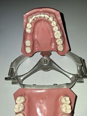 Vintage Columbia Dental Dentoform Typodont 1361 1362